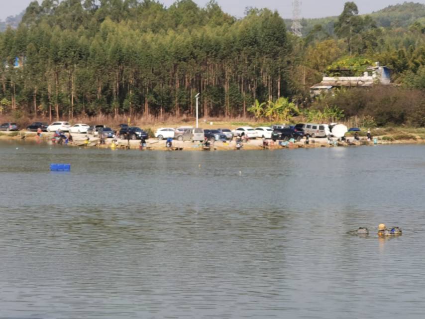 白马钓场瑶鹰山水库店